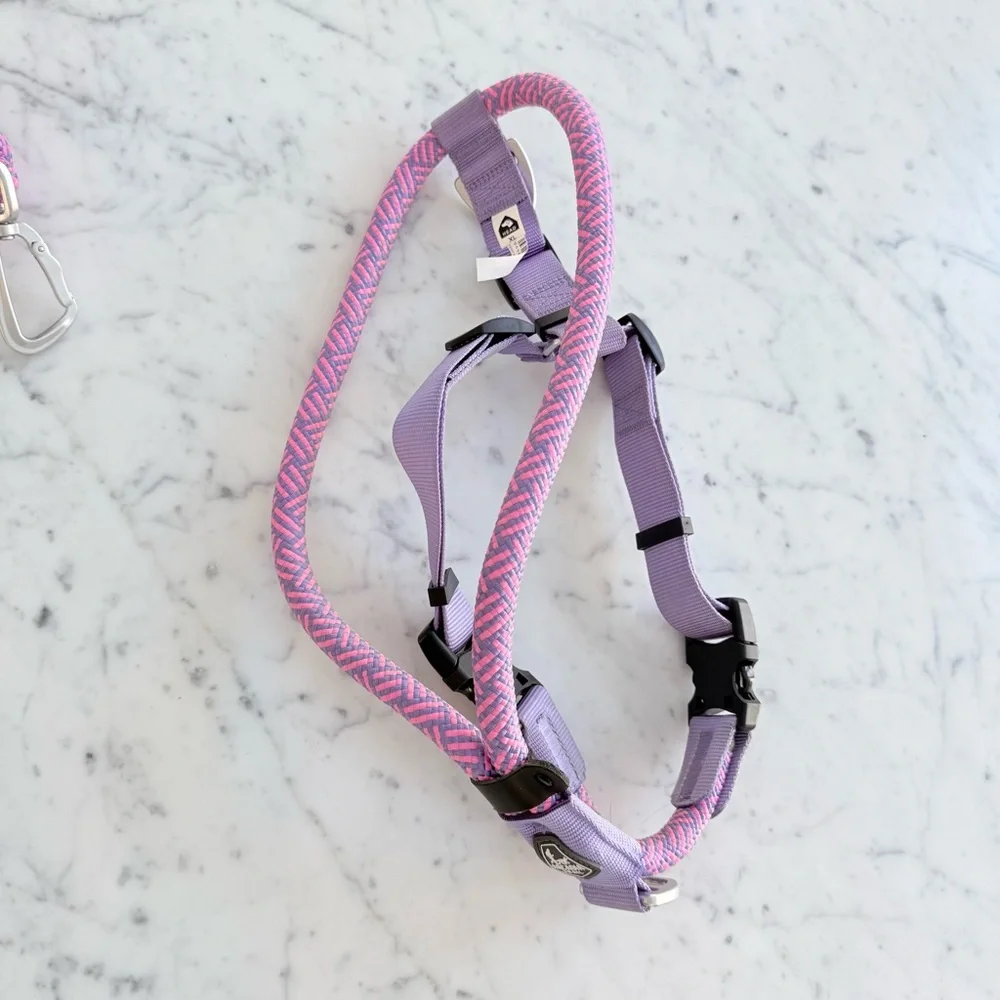 Arcadia Trail rope dog harness and leash in pink and purple